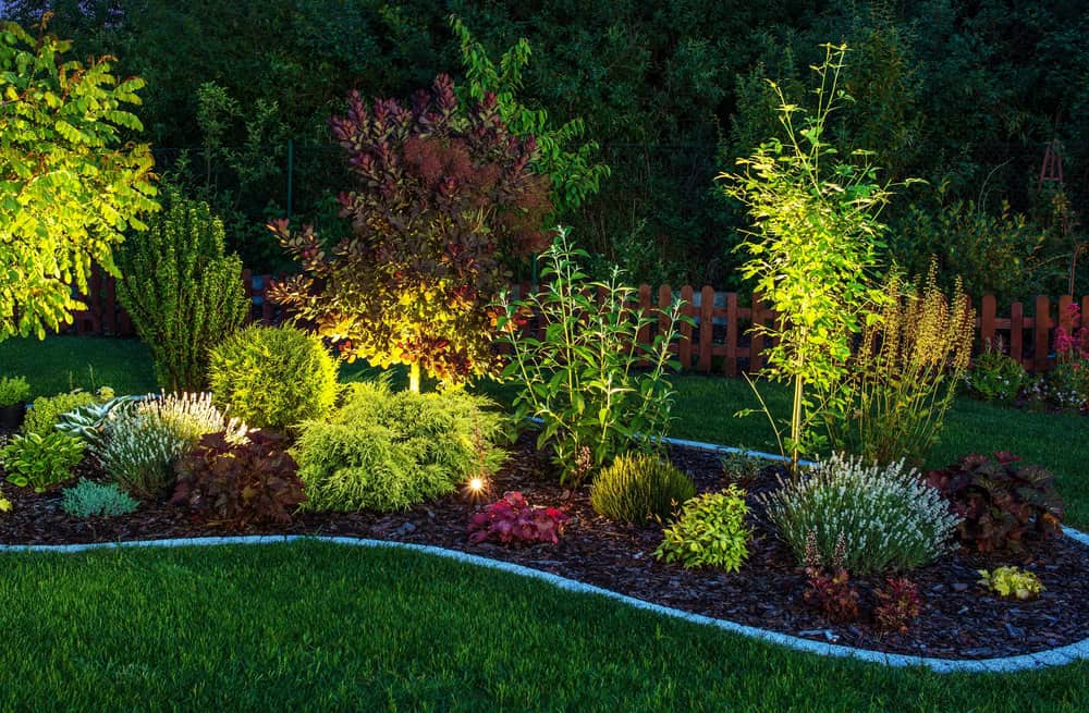 A landscaped garden bed illuminated by outdoor lights at dusk — landscape lighting by Ellis Landscape Services