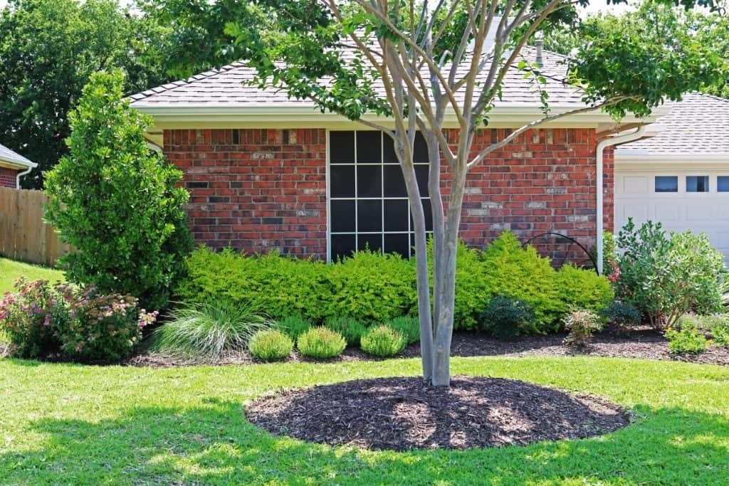 A brick house with a large window, surrounded by manicured shrubs and plants, showcasing Ellis Landscape Services work featured in Tarrant County landscape projects