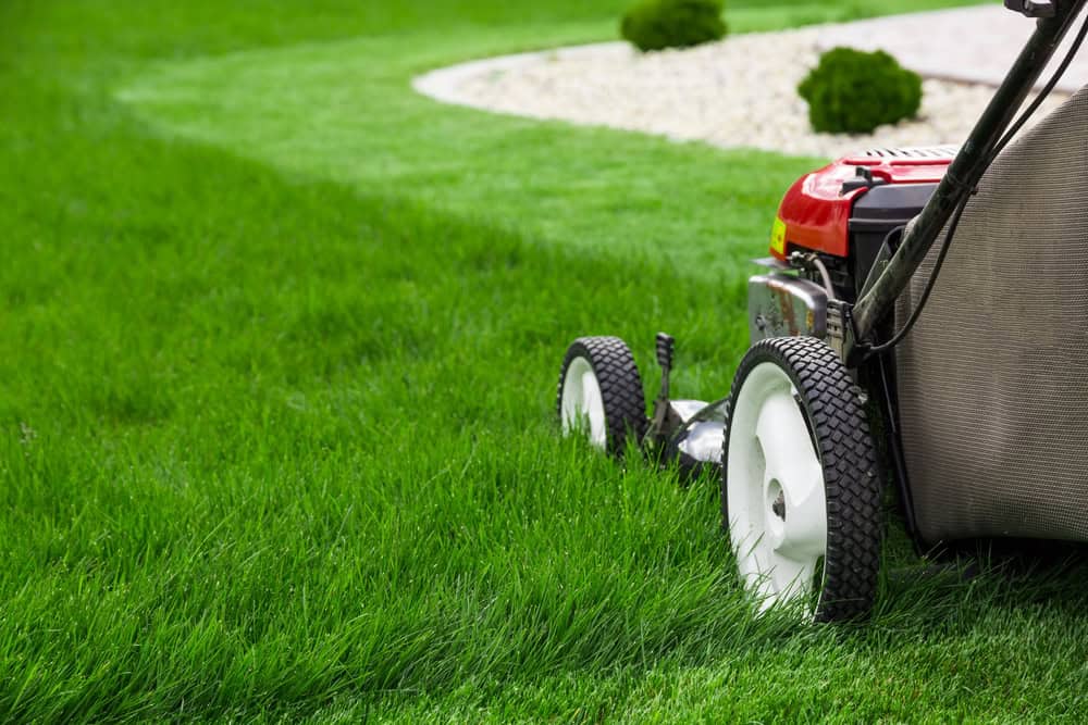 Lawn care and landscape maintenance services in North Texas