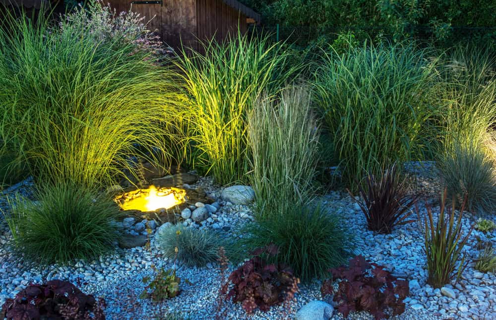A small illuminated pond surrounded by ornamental grasses, rocks, and various plants in a landscaped garden at dusk, enhanced with subtle accent lighting Tarrant County for a serene ambiance.