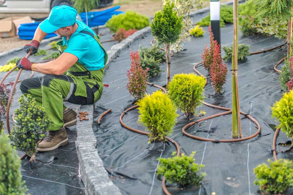 North Texas Winter Irrigation Guide