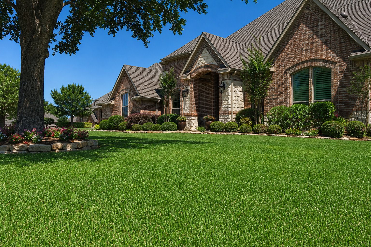 Healthy green Bermuda lawn under August sun in Tarrant County, Texas